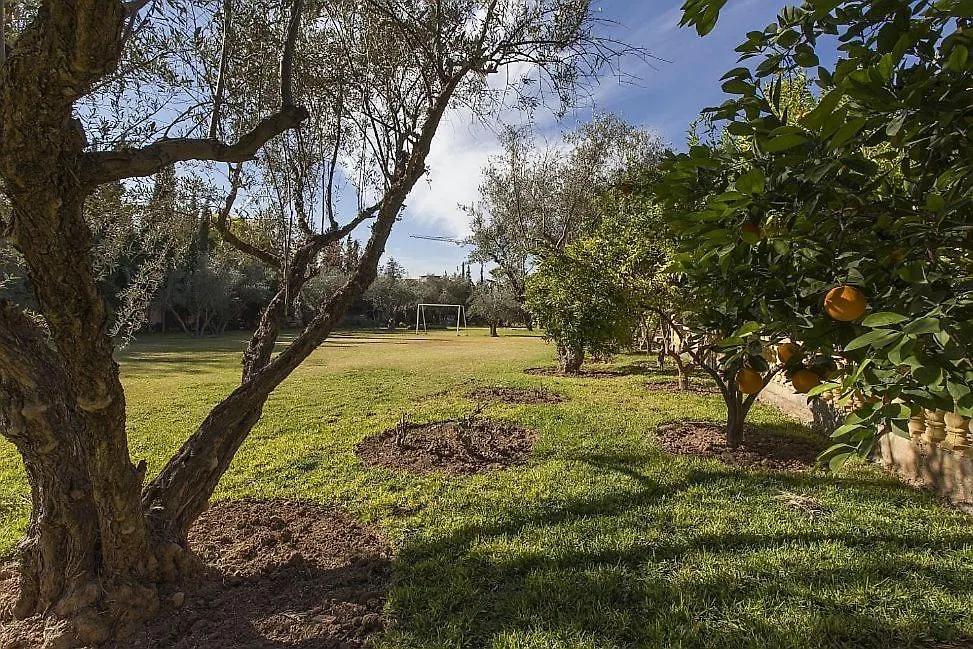 Villa Zahra Palmeraie Marraquexe